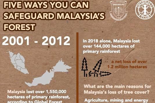 Five Ways You Can Safeguard Malaysia’s Forests