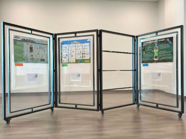 Exhibitions