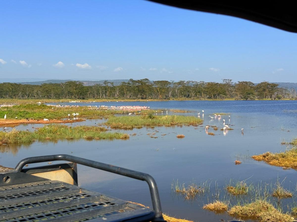 lake nakuru