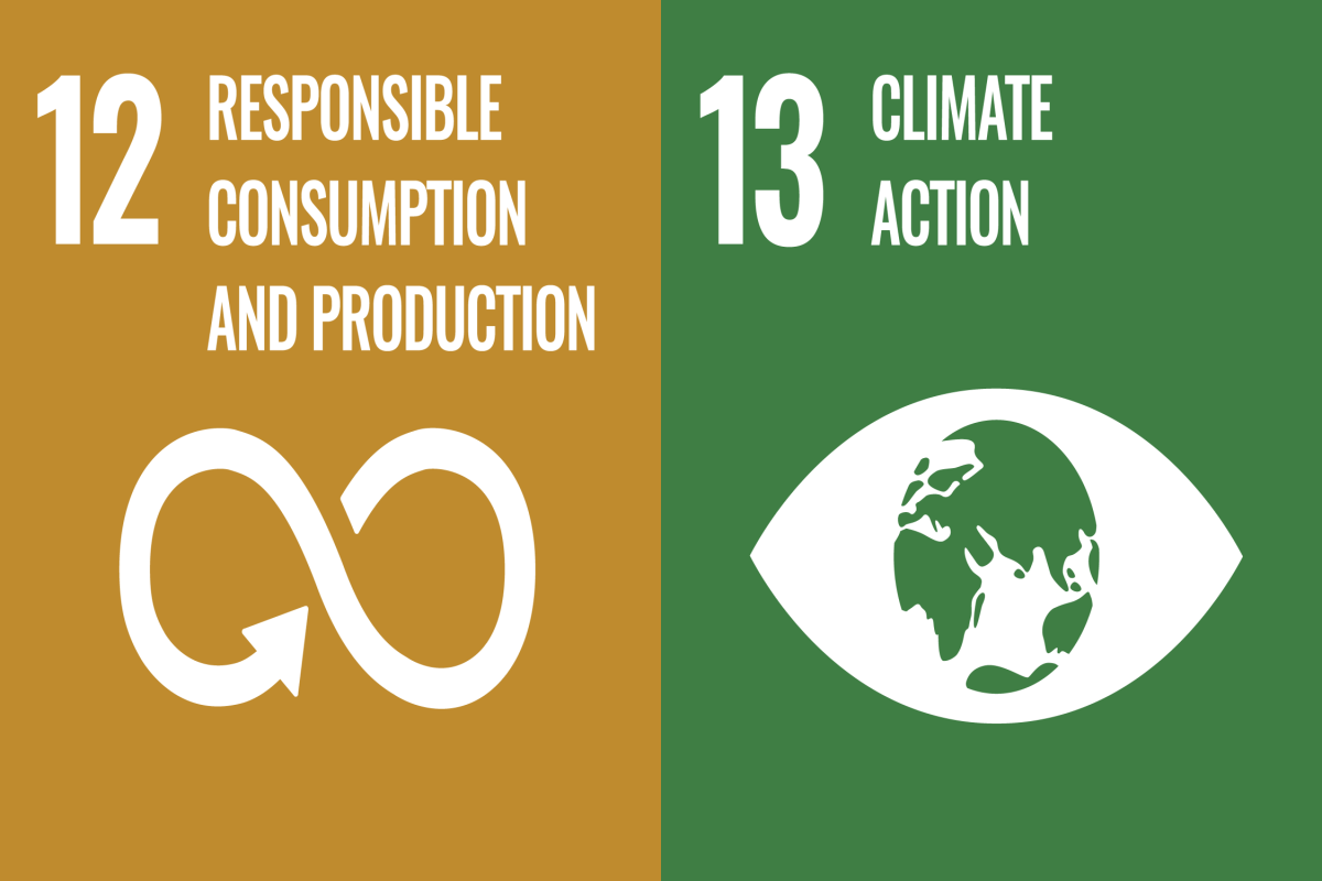 sdg 12&13