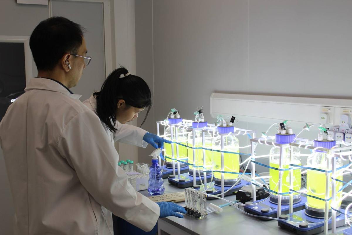 biophoto lab