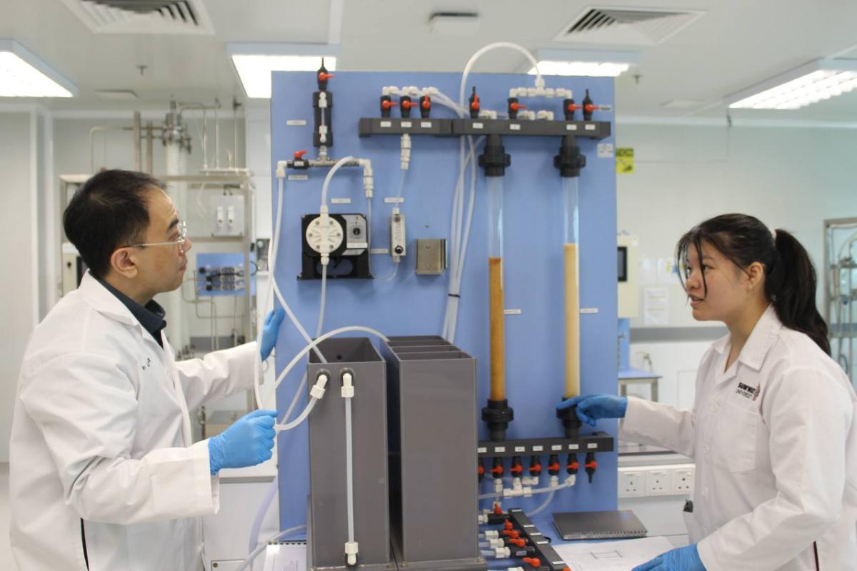 mass transfer and chemical reaction lab at sunway uni